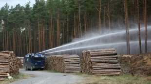 Mecklenburg-Vorpommerns Innenminister fordert nationale Waldbrand-Task-Force