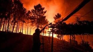 Waldbrand in Portugal trotz massiven Feuerwehreinsatzes nicht unter Kontrolle
