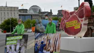 Tierschutzbund fordert Abgabe auf Fleisch 