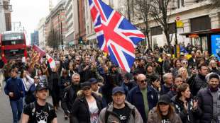Dutzende Festnahmen bei Anti-Lockdown-Protesten in London