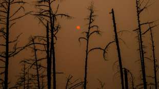 Verheerende Waldbr&auml;nde in Sibirien weitgehend gel&ouml;scht