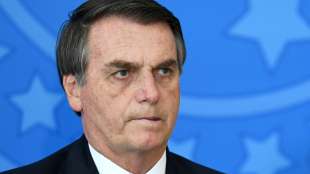 Berichte: Bolsonaro untersagt Brandrodungen im gesamten Land für zwei Monate