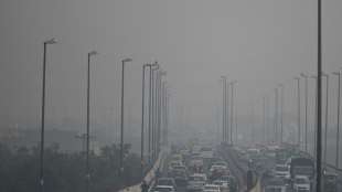 Indiens Hauptstadt Neu Delhi lehnt Smog-Lockdown ab