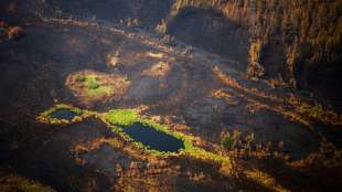 Waldbrände in Sibirien breiten sich weiter aus