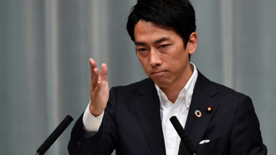 Japans neuer Umweltminister will Atomenergie den Rücken kehren