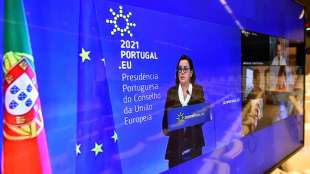 Baldige Urlaubsreisen mit Impfnachweis in der EU weiter nicht in Sicht