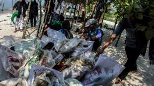 Zehntausende Indonesier sammeln Müll an Stränden und vor den Küsten des Inselreichs