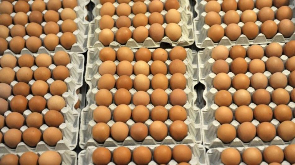 Belgische Behörden: Anfang Juni Hinweise auf verseuchte Eier