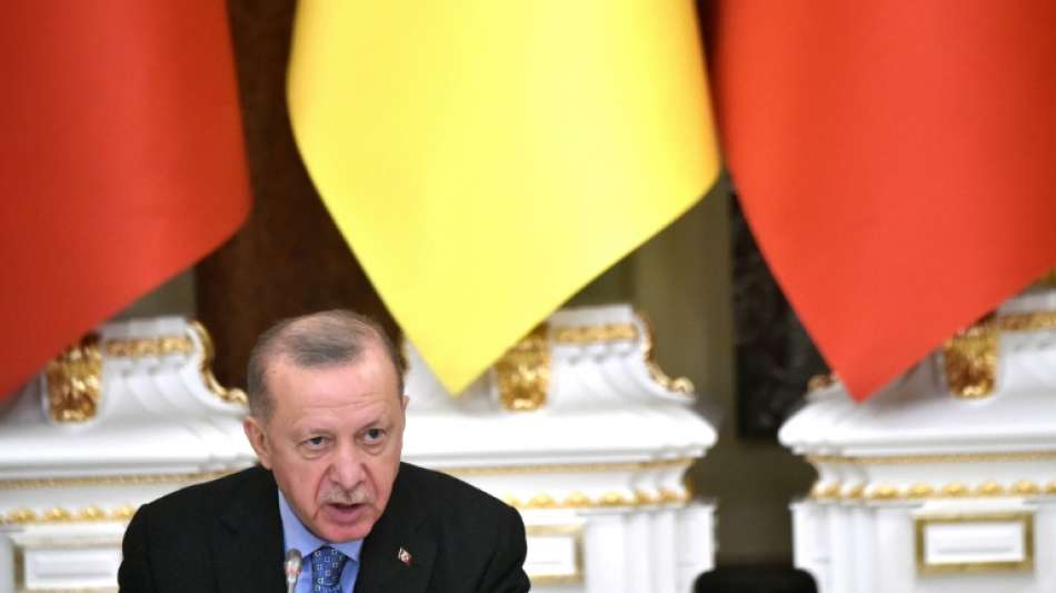 Erdogan kritisiert Nato-Partner für Vorgehen in Ukraine-Krise