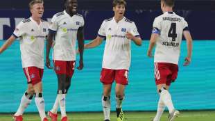 HSV nur Remis gegen Darmstadt - R&uuml;ckstand auf Regensburg w&auml;chst