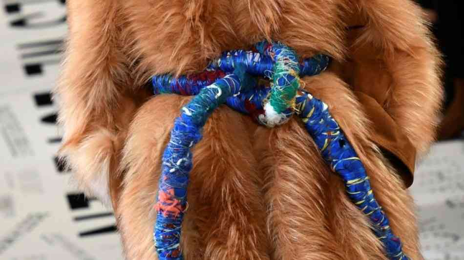Stella McCartney will noch kurz die Welt retten