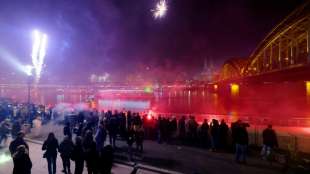 Umweltsch&uuml;tzer und Gewerkschaft der Polizei fordern B&ouml;llerverbot zu Silvester