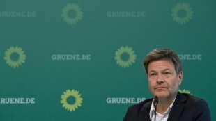 Habeck: Nehmen Unionsentscheidung in K-Frage "wie es kommt"
