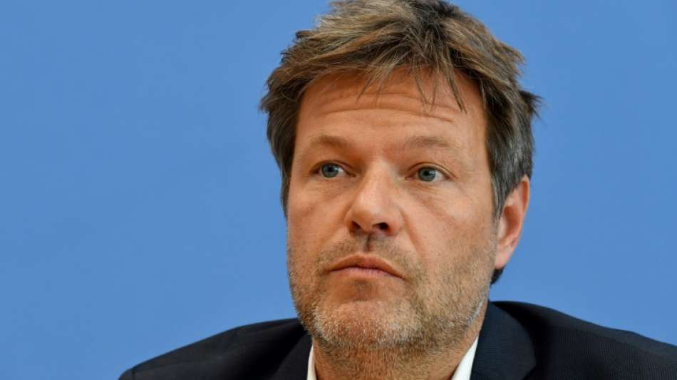 Habeck: Bundespartei gab Mageburger Wahlkämpfern keinen Rückenwind