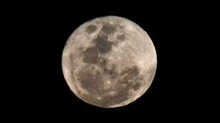 Nasa w&auml;hlt Landeplatz f&uuml;r Mond-Mission auf der Suche nach gefrorenem Wasser aus
