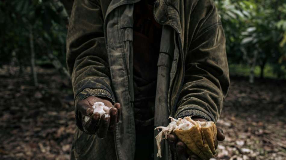 Entwicklungsminister ruft zum Kauf fairer Schokolade zu Nikolaus auf 