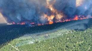 Mehr als 170 Waldbr&auml;nde im Westen Kanadas - Flammenmeere auch in Kalifornien