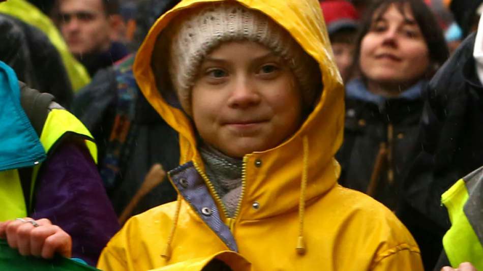 Forscher benennt neue Spinnengattung nach Greta Thunberg