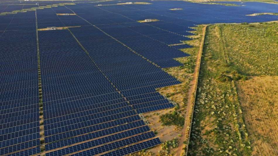 WWF: Weltweite Energiewende ist "unumkehrbar"