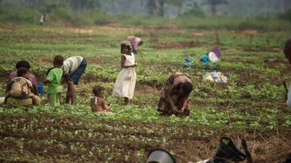 Amnesty: Deutsche Autokonzerne profitieren von Kinderarbeit im Kongo
