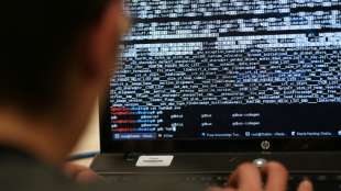 23-J&auml;hriger soll mit Hackerangriffen Millionenschaden verursacht haben
