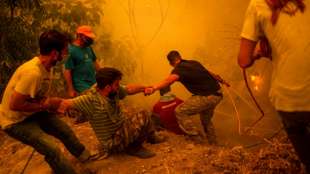 Brände auf griechischer Insel Euböa weiter außer Kontrolle