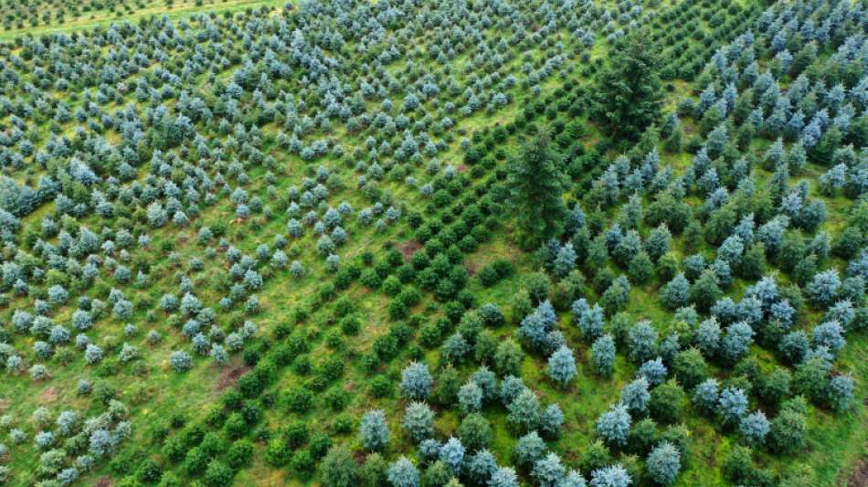 Verteilung des Geldes aus der "Bauernmilliarde" bislang unklar