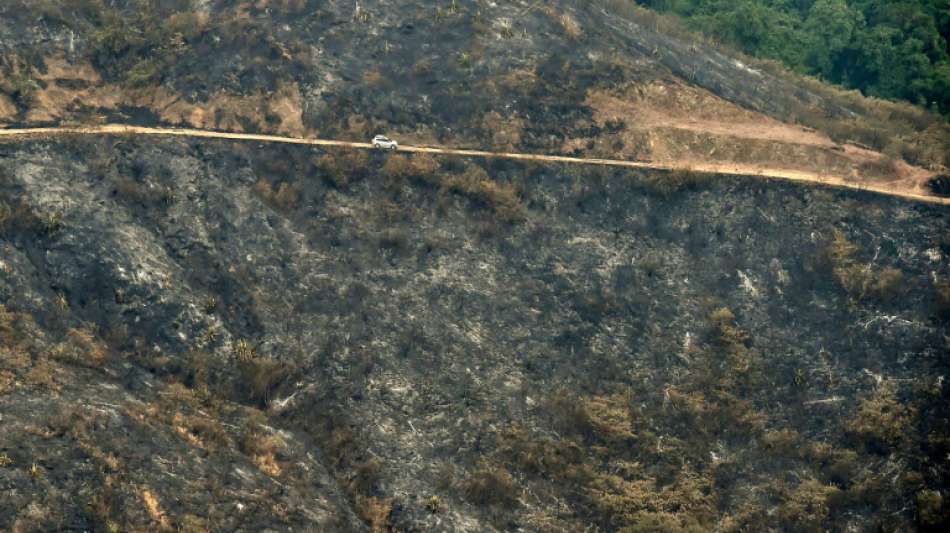 Zahl der Waldbrände in Kolumbien auf höchstem Stand seit 20 Jahren