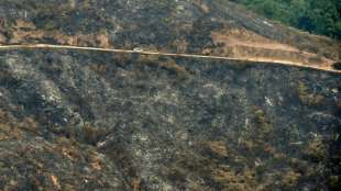 Zahl der Waldbrände in Kolumbien auf höchstem Stand seit 20 Jahren