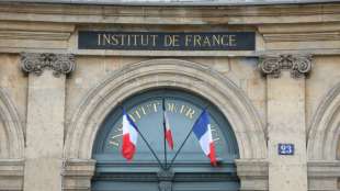 Académie française schlägt wegen "Frenglisch" Alarm