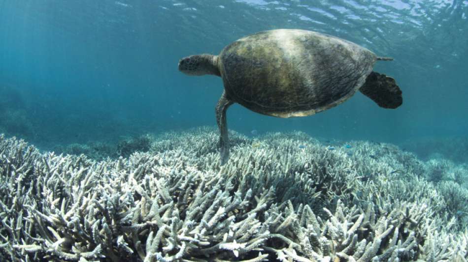 Klimawandel verschärft Situation für hunderte vom Aussterben bedrohte Arten