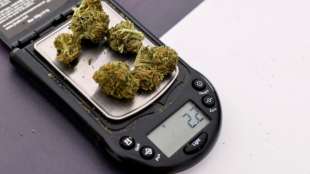 Drogenbeauftragte fordert bundeseinheitliche Sechs-Gramm-Obergrenze f&uuml;r Cannabis