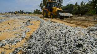 Sri Lanka droht nach Schiffsunglück Umweltkatastrophe