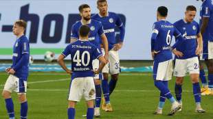 Trotz Führung: Schalker Sieglos-Serie geht weiter