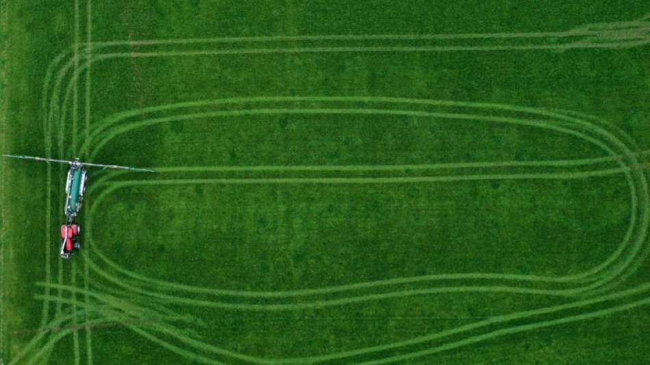 Gutachten: Überdüngung verursacht Umweltkosten in Milliardenhöhe