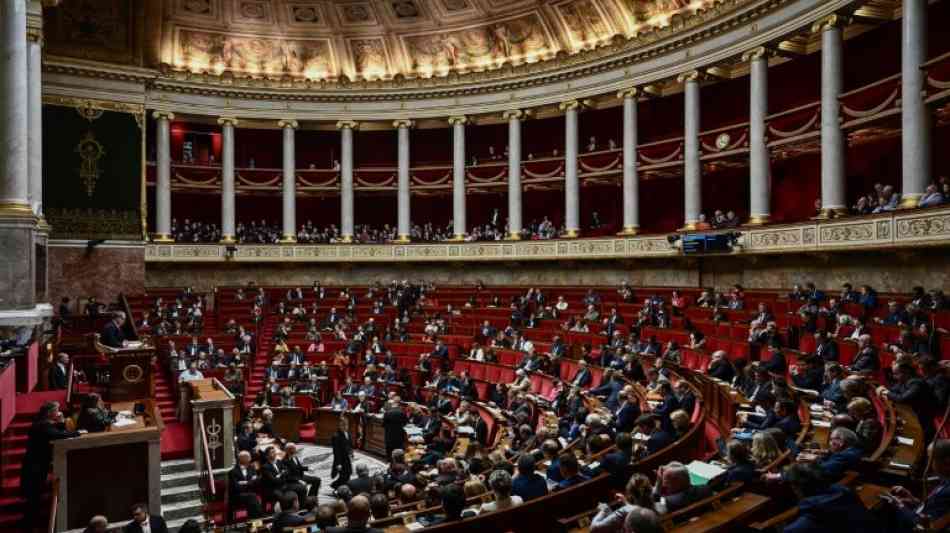 Debatte über Deutsch-französische Parlamentsversammlung in Paris