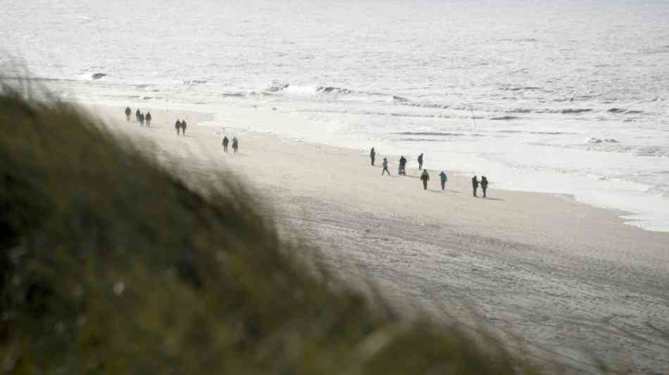 Auf jedem Sandkorn aus dem Meer leben bis zu 100.000 Bakterien