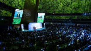 Guterres ruft Weltgemeinschaft zu energischem Klima-Engagement auf