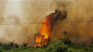 Behörde: Zahl der Waldbrände im Amazonasbecken sinkt auf Rekordminimum