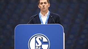 Schalke w&auml;hlt neuen Aufsichtsrat - Stevens geht mit Applaus