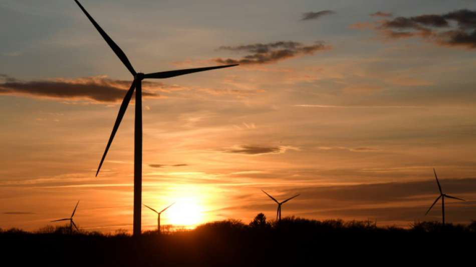 Lob für teilweises Einlenken Altmaiers im Windkraft-Streit