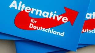 Politologe: FPÖ-Affäre wird für AfD bei EU-Wahl kaum negative Auswirkungen haben