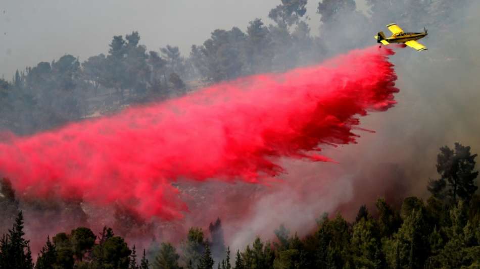 Großer Waldbrand nahe Jerusalem hält Feuerwehr in Atem