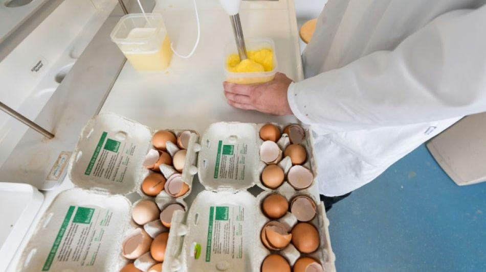 Eier: Ermittlungen gegen deutsche Landwirte im Fipronil-Skandal