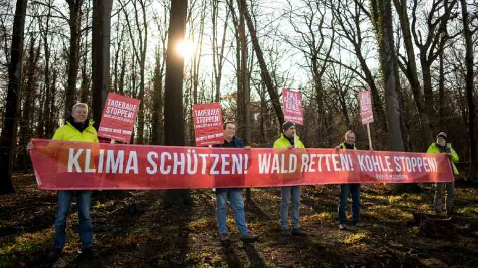 Oberverwaltungsgericht:t Vergleich im Tauziehen um Hambacher Forst