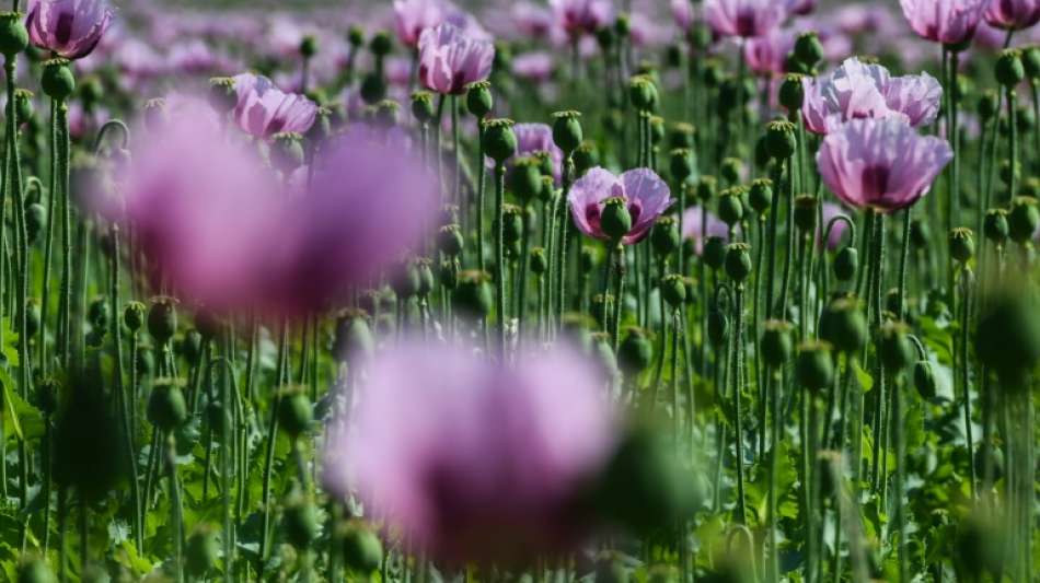 Zahl der Biohöfe seit 2010 deutlich gestiegen