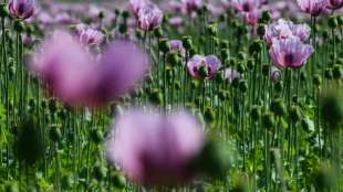 Zahl der Biohöfe seit 2010 deutlich gestiegen