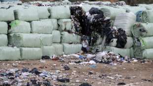 WWF sieht gro&szlig;es Potenzial zur Einsparung von Plastikm&uuml;ll in Deutschland