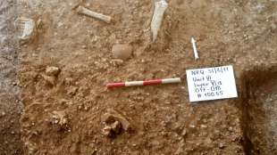 Israelische Forscher entdecken neuen Typ eines pr&auml;historischen Menschen