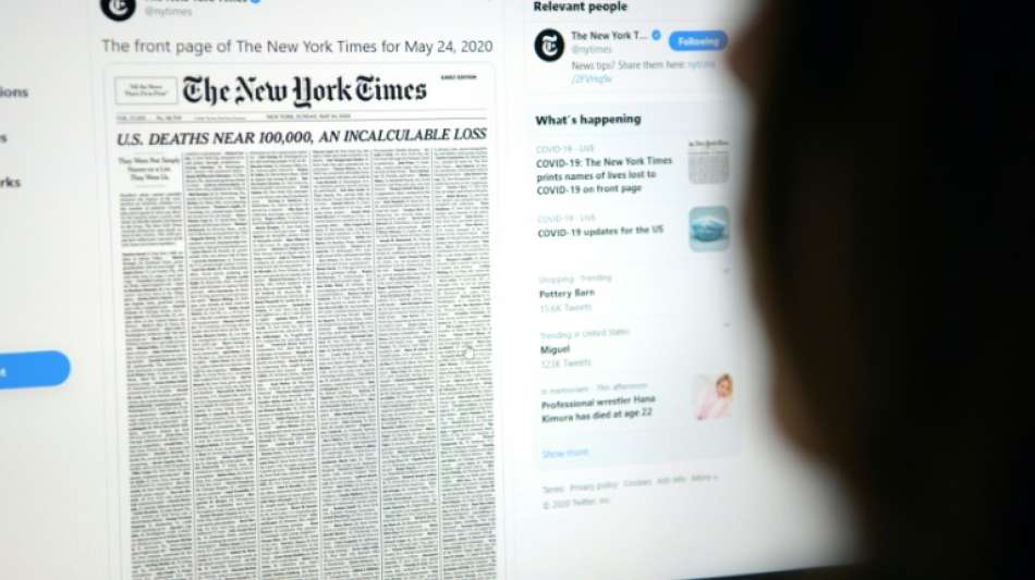 Websites von britischer Regierung und gro&szlig;en Medien vor&uuml;bergehend nicht erreichbar